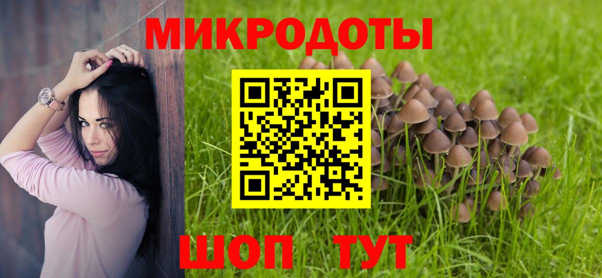 Галлюциногенные грибы ЛСД  Вход с VPN  Камышин 