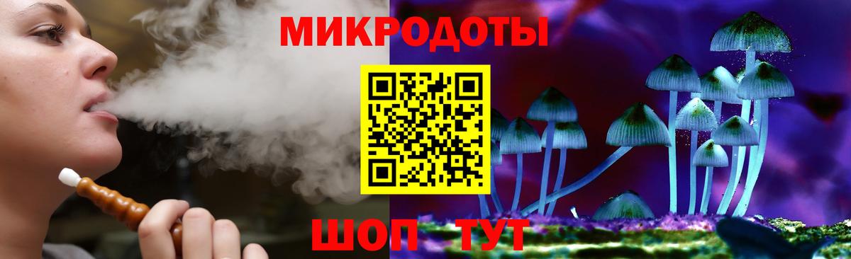 Псилоцибиновые грибы Cubensis Камышин